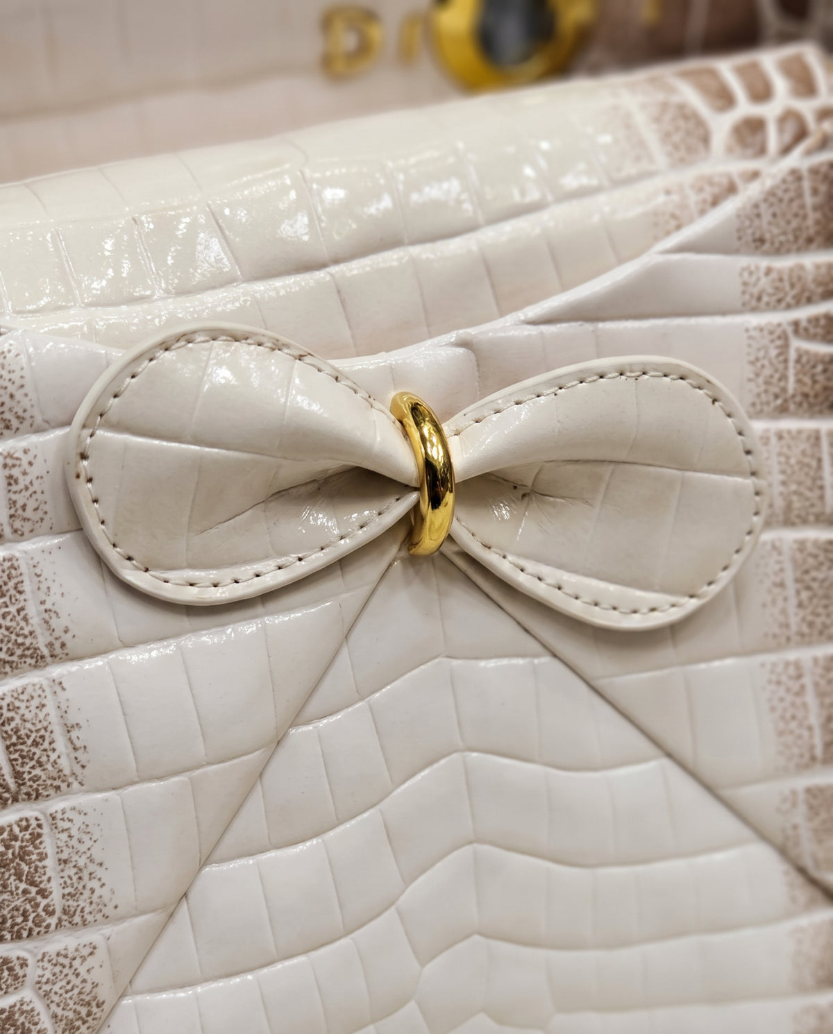 Dior La Cigale Top Handle Bag