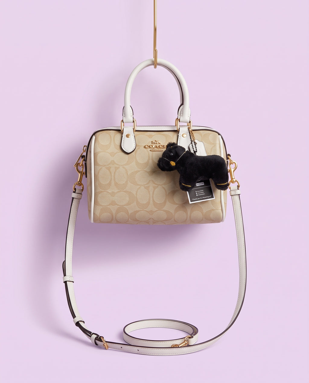 COACH Mini Rowan Crossbody Bag In Signature Canvas