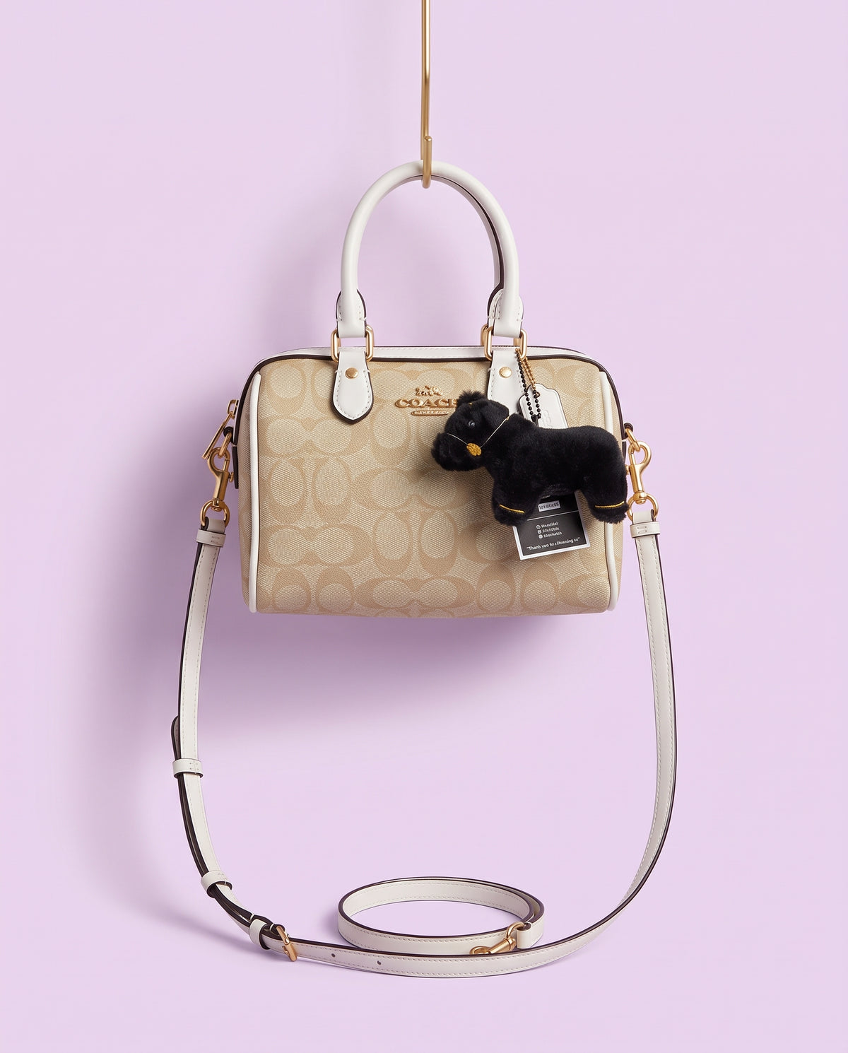 COACH Mini Rowan Crossbody Bag In Signature Canvas