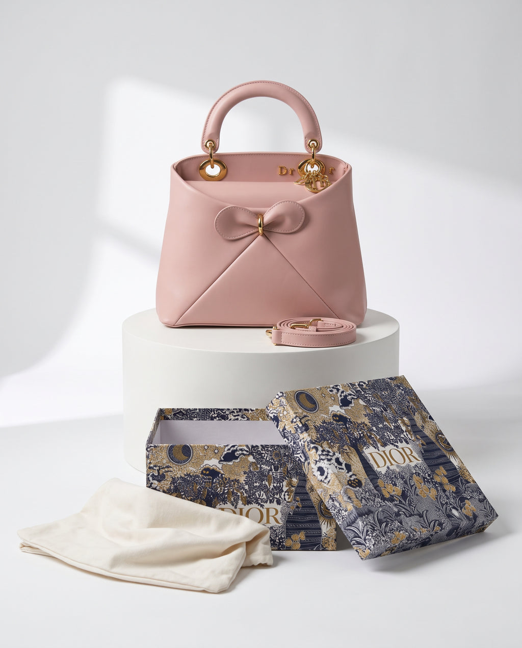 Dior La Cigale Top Handle Bag