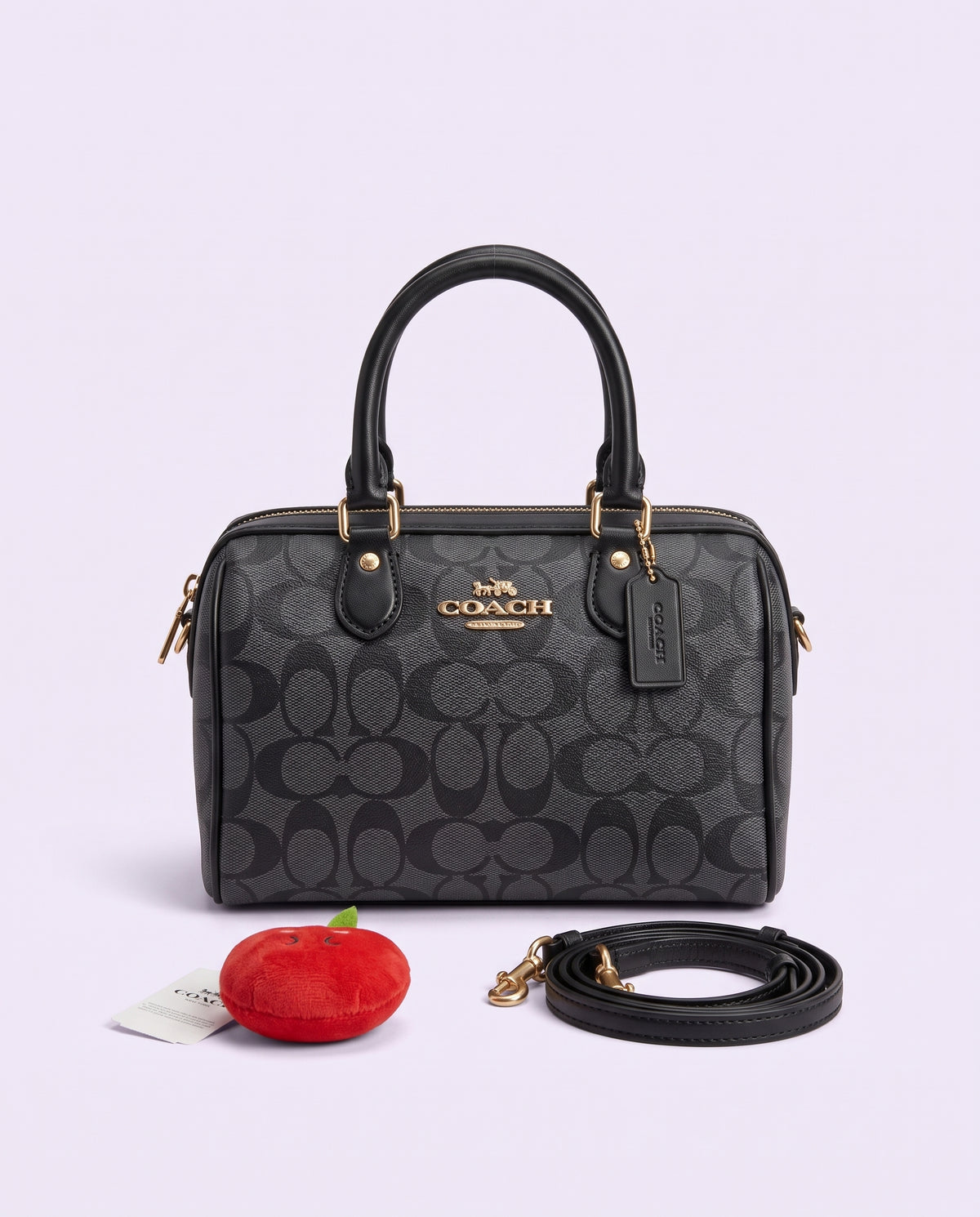 COACH Mini Rowan Crossbody Bag In Signature Canvas