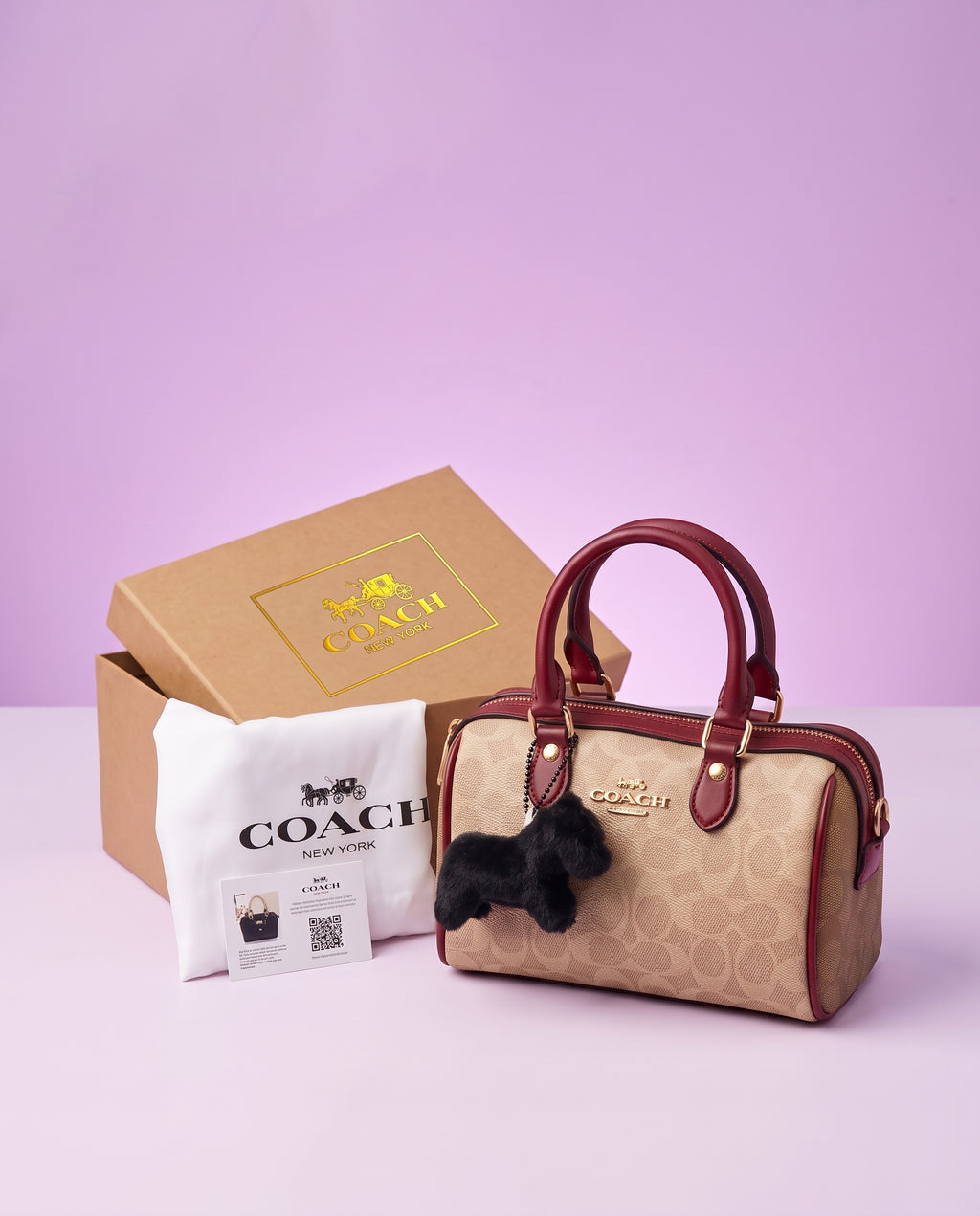 COACH Mini Rowan Crossbody Bag In Signature Canvas
