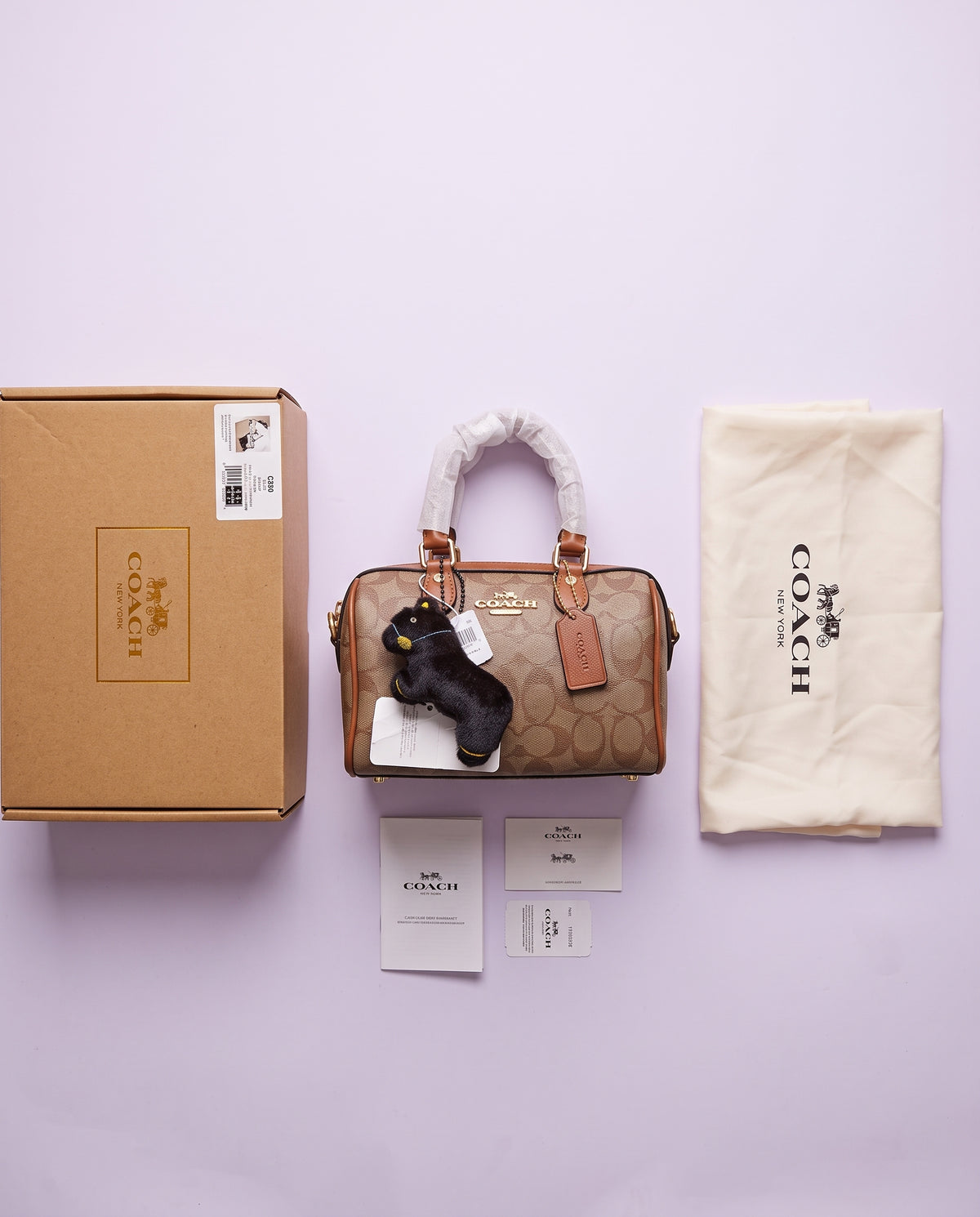 COACH Mini Rowan Crossbody Bag In Signature Canvas
